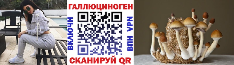 Псилоцибиновые грибы Psilocybine cubensis  Суздаль 